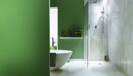 Image of interior bathroom wall 