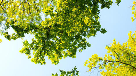 sustainability