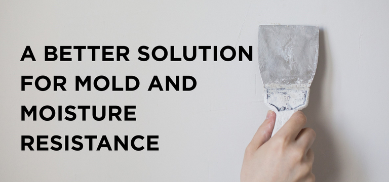 mold_resistance